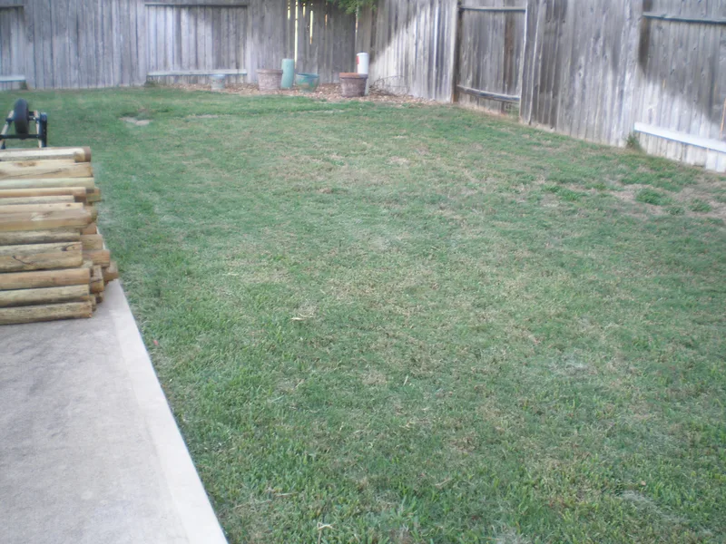 Before picture of yard