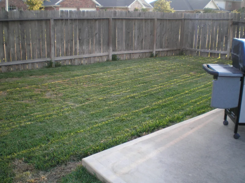 Before picture of yard