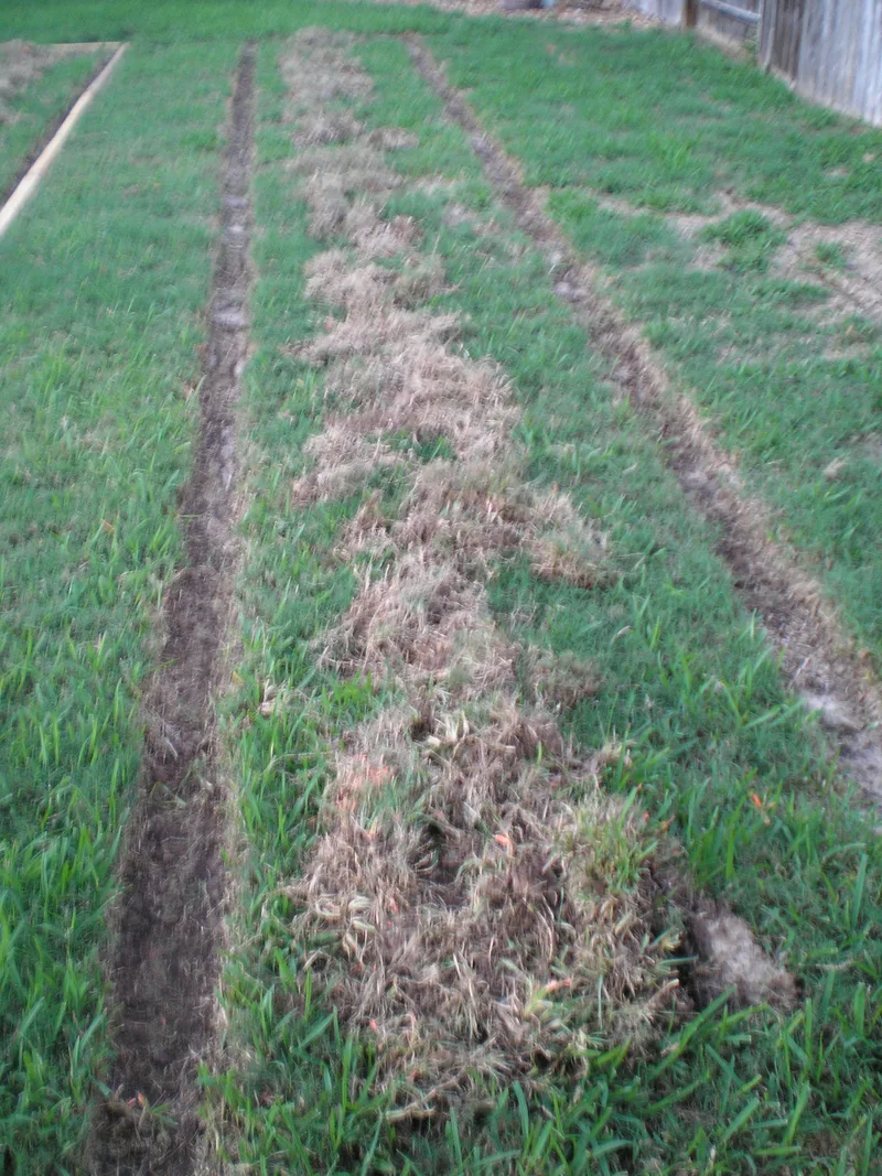 Starting to build garden beds 3