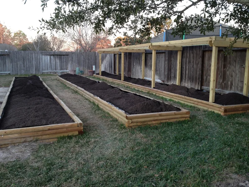 Soil in Beds 1